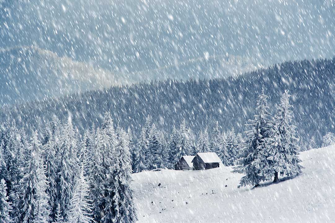 Walking in a Winter Wonderland